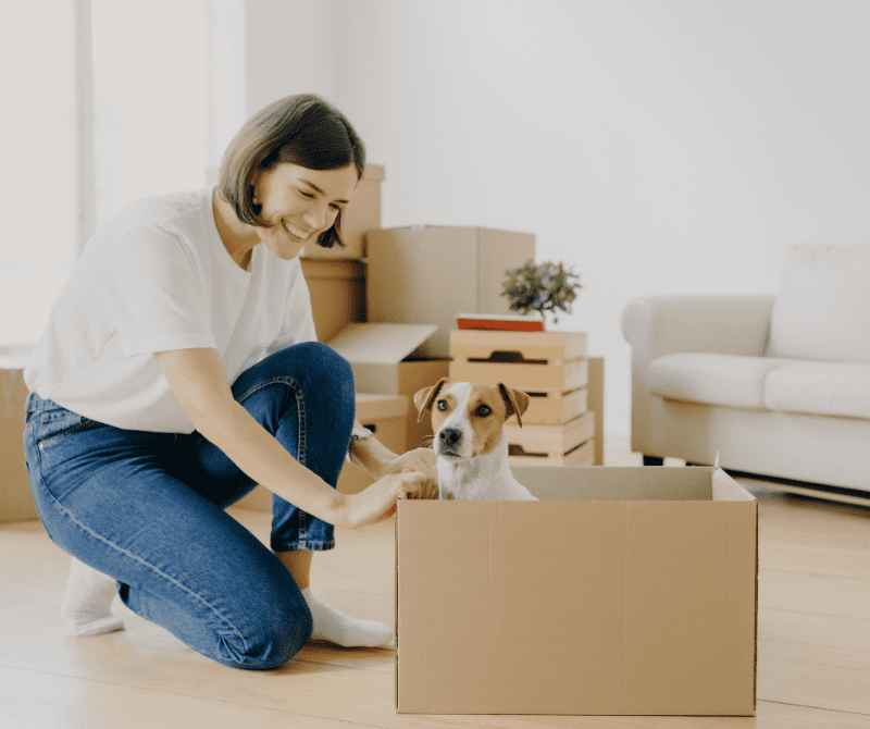 a woman preparing for a move and a dog in a box